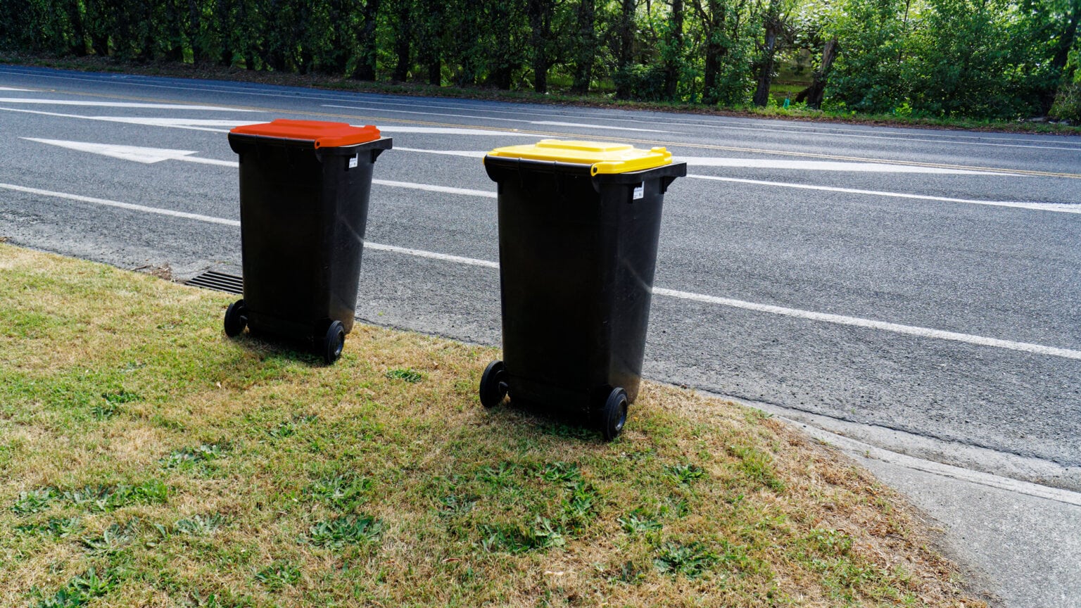 Bin Collection Yellow and Red